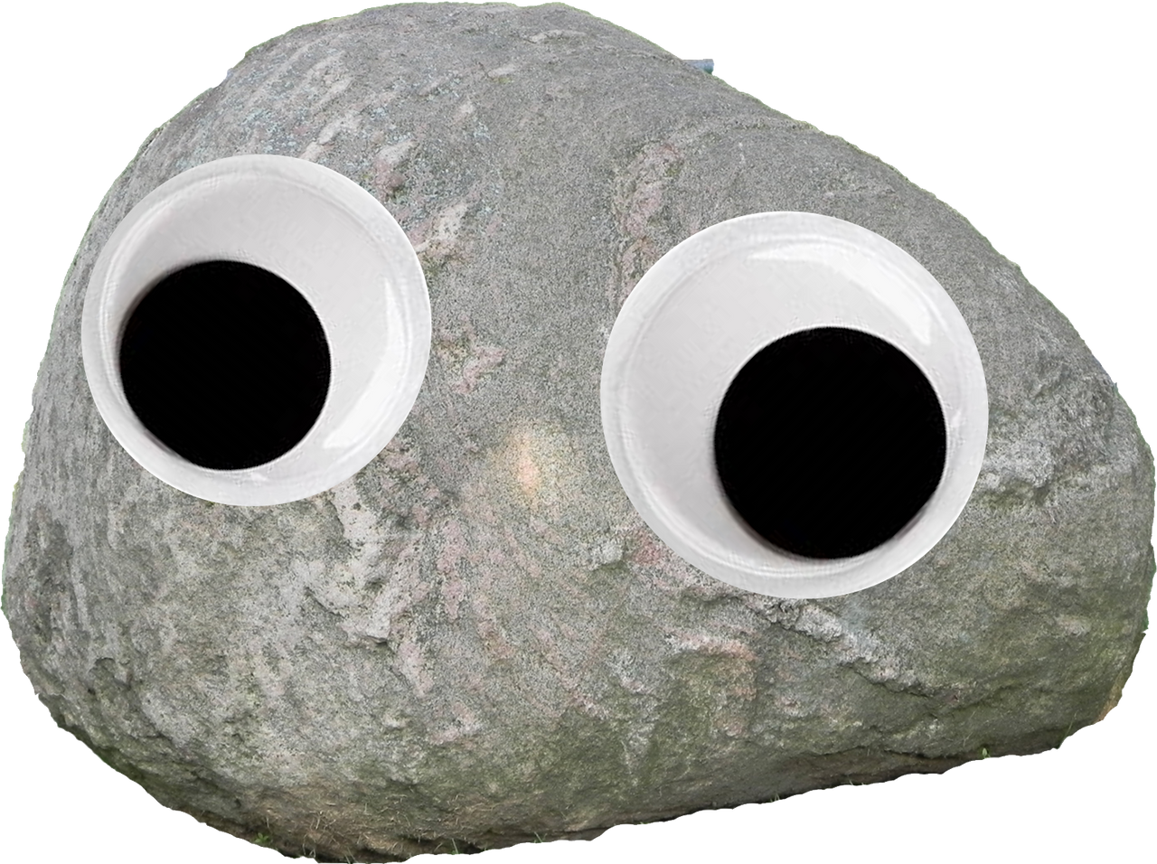 Pet Rock